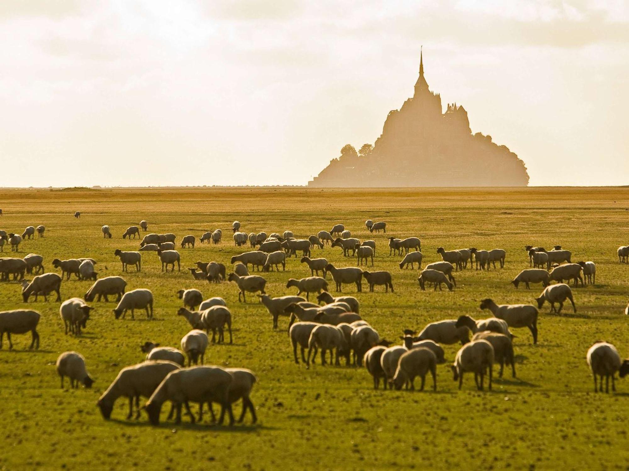 Hotelf1 Avranches Baie Du Mont Saint Michel Zewnętrze zdjęcie